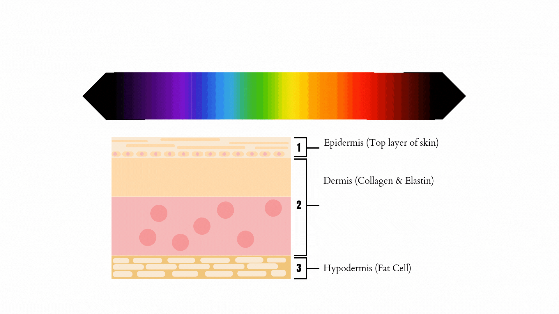 Skin deep part 1 (blog landscape gif)